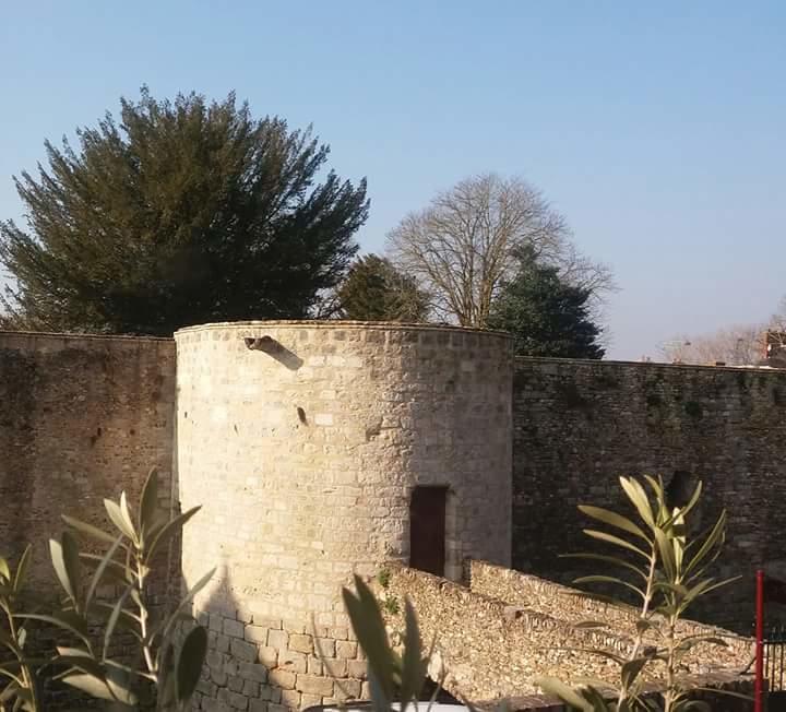 Chambre D'Hote Du Chateau Dourdan Exterior photo